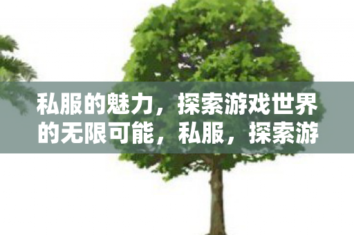 私服的魅力，探索游戏世界的无限可能，私服，探索游戏世界的无限可能