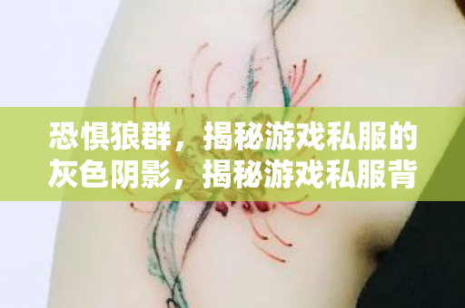 恐惧狼群,揭秘游戏私服的灰色阴影,揭秘游戏私服背后的灰色阴影,恐惧狼群的阴影 恐惧狼群,揭秘游戏私服的灰色阴影,揭秘游戏私服背后的灰色阴影,恐惧狼群的阴影