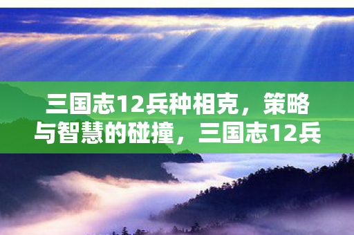 三国志12兵种相克,策略与智慧的碰撞,三国志12兵种相克,策略与智慧的碰撞 三国志12兵种相克,策略与智慧的碰撞,三国志12兵种相克,策略与智慧的碰撞