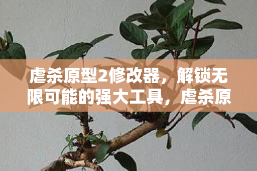 虐杀原型2修改器,解锁无限可能的强大工具,虐杀原型2修改器,解锁无限可能的强大工具 虐杀原型2修改器,解锁无限可能的强大工具,虐杀原型2修改器,解锁无限可能的强大工具