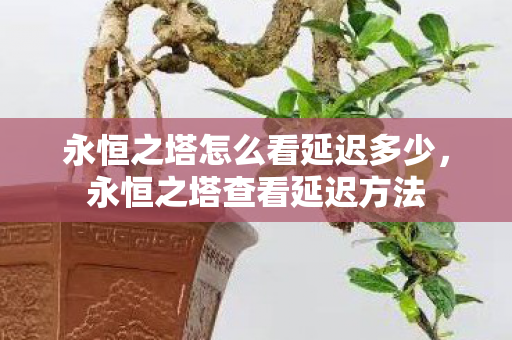 永恒之塔怎么看延迟多少,永恒之塔查看延迟方法 永恒之塔怎么看延迟多少,永恒之塔查看延迟方法