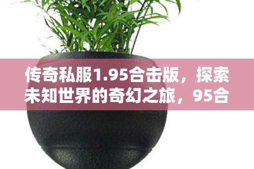 传奇私服1.95合击版,探索未知世界的奇幻之旅,95合击版传奇私服,开启奇幻冒险之旅 传奇私服1.95合击版,探索未知世界的奇幻之旅,95合击版传奇私服,开启奇幻冒险之旅