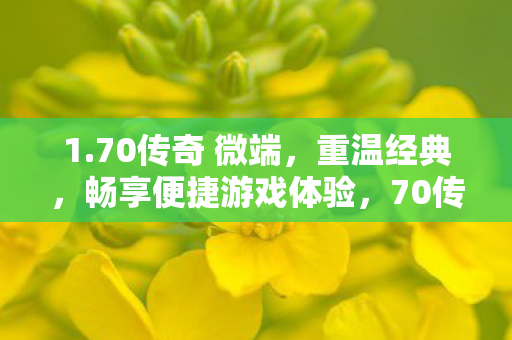 1.70传奇 微端,重温经典,畅享便捷游戏体验,70传奇微端,重温经典,便捷游戏体验 1.70传奇 微端,重温经典,畅享便捷游戏体验,70传奇微端,重温经典,便捷游戏体验