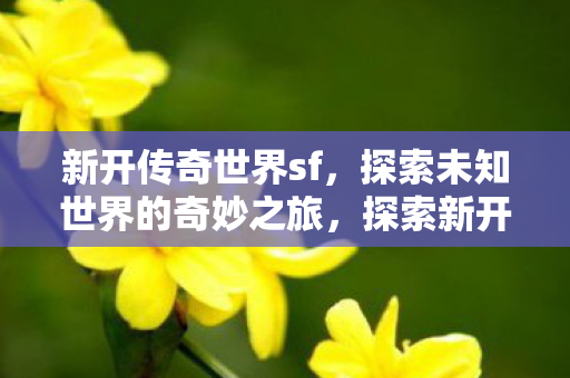新开传奇世界sf,探索未知世界的奇妙之旅,探索新开传奇世界sf的奇妙冒险之旅 新开传奇世界sf,探索未知世界的奇妙之旅,探索新开传奇世界sf的奇妙冒险之旅