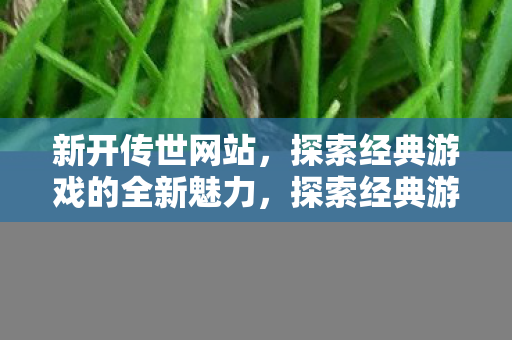 新开传世网站,探索经典游戏的全新魅力,探索经典游戏全新魅力,新开传世网站 新开传世网站,探索经典游戏的全新魅力,探索经典游戏全新魅力,新开传世网站
