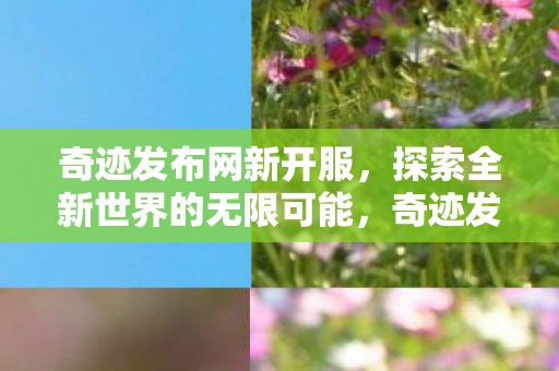 奇迹发布网新开服,探索全新世界的无限可能,奇迹发布网新服开启,探索全新世界的无限可能 奇迹发布网新开服,探索全新世界的无限可能,奇迹发布网新服开启,探索全新世界的无限可能
