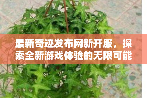 最新奇迹发布网新开服，探索全新游戏体验的无限可能，奇迹MU最新开服，探索全新游戏体验的无限可能