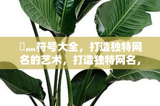 乄灬符号大全,打造独特网名的艺术,打造独特网名,灬符号大全 乄灬符号大全,打造独特网名的艺术,打造独特网名,灬符号大全