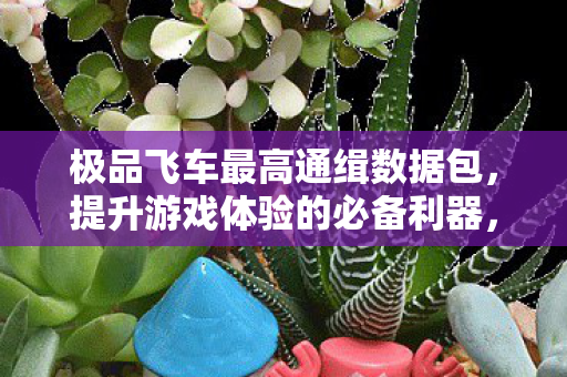 极品飞车最高通缉数据包,提升游戏体验的必备利器,极品飞车最高通缉数据包,提升游戏体验的必备利器 极品飞车最高通缉数据包,提升游戏体验的必备利器,极品飞车最高通缉数据包,提升游戏体验的必备利器