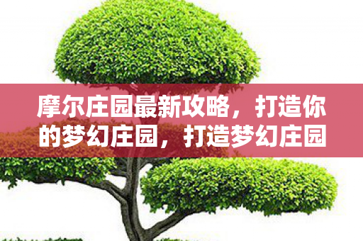 摩尔庄园最新攻略，打造你的梦幻庄园，打造梦幻庄园，摩尔庄园最新攻略