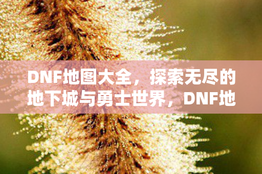 DNF地图大全,探索无尽的地下城与勇士世界,DNF地图大全,探索无尽的地下城与勇士世界 DNF地图大全,探索无尽的地下城与勇士世界,DNF地图大全,探索无尽的地下城与勇士世界