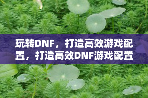 玩转DNF,打造高效游戏配置,打造高效DNF游戏配置,玩转地下城与勇士 玩转DNF,打造高效游戏配置,打造高效DNF游戏配置,玩转地下城与勇士