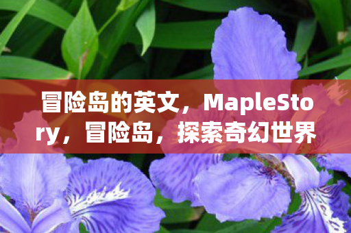 冒险岛的英文，MapleStory，冒险岛，探索奇幻世界的奇妙之旅