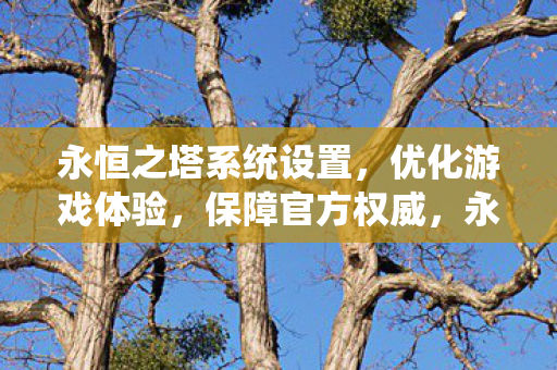 永恒之塔系统设置,优化游戏体验,保障官方权威,永恒之塔,优化系统设置,提升游戏体验,维护官方权威 永恒之塔系统设置,优化游戏体验,保障官方权威,永恒之塔,优化系统设置,提升游戏体验,维护官方权威