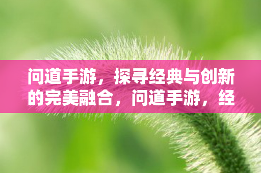问道手游，探寻经典与创新的完美融合，问道手游，经典与创新完美融合之旅