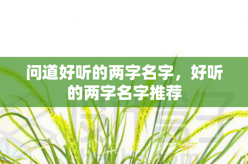 问道好听的两字名字,好听的两字名字推荐 问道好听的两字名字,好听的两字名字推荐