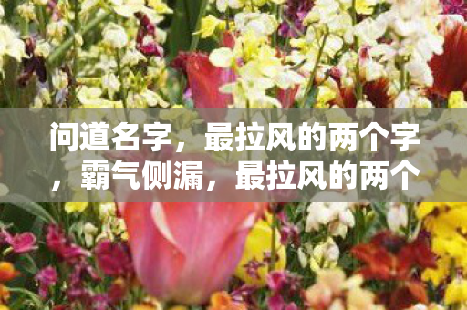 问道名字,最拉风的两个字,霸气侧漏,最拉风的两个字名字 问道名字,最拉风的两个字,霸气侧漏,最拉风的两个字名字