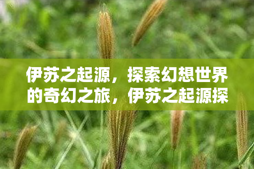 伊苏之起源,探索幻想世界的奇幻之旅,伊苏之起源探索幻想世界的奇幻之旅 伊苏之起源,探索幻想世界的奇幻之旅,伊苏之起源探索幻想世界的奇幻之旅