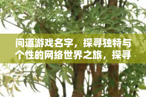 问道游戏名字,探寻独特与个性的网络世界之旅,探寻独特与个性的网络世界之旅,问道游戏名字 问道游戏名字,探寻独特与个性的网络世界之旅,探寻独特与个性的网络世界之旅,问道游戏名字