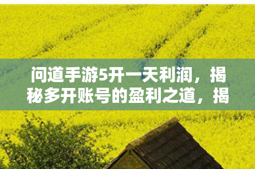 问道手游5开一天利润,揭秘多开账号的盈利之道,揭秘问道手游5开账号盈利之道,一天能赚多少? 问道手游5开一天利润,揭秘多开账号的盈利之道,揭秘问道手游5开账号盈利之道,一天能赚多少?