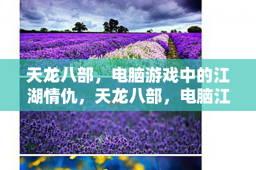天龙八部,电脑游戏中的江湖情仇,天龙八部,电脑江湖中的情仇爱恨 天龙八部,电脑游戏中的江湖情仇,天龙八部,电脑江湖中的情仇爱恨