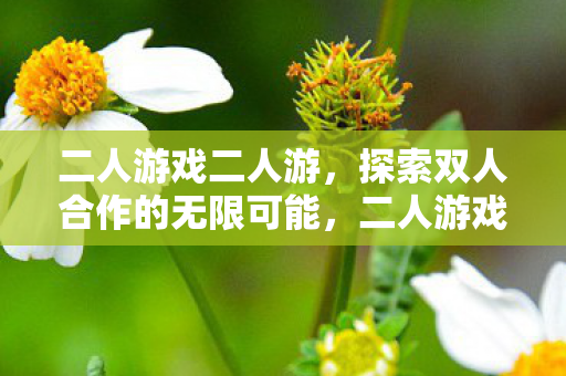 二人游戏二人游，探索双人合作的无限可能，二人游戏二人游，探索双人合作的无限可能