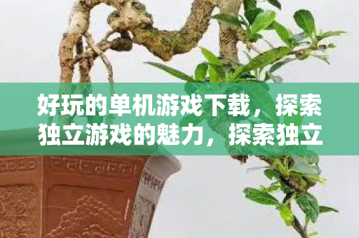 好玩的单机游戏下载,探索独立游戏的魅力,探索独立游戏魅力,好玩的单机游戏下载 好玩的单机游戏下载,探索独立游戏的魅力,探索独立游戏魅力,好玩的单机游戏下载