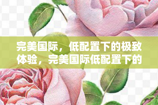 完美国际，低配置下的极致体验，完美国际低配置下的极致体验