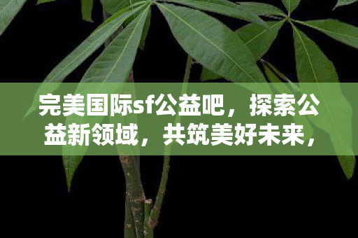 完美国际sf公益吧，探索公益新领域，共筑美好未来，探索公益新领域，共筑美好未来，完美国际sf公益吧
