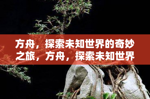 方舟,探索未知世界的奇妙之旅,方舟,探索未知世界的奇妙之旅 方舟,探索未知世界的奇妙之旅,方舟,探索未知世界的奇妙之旅