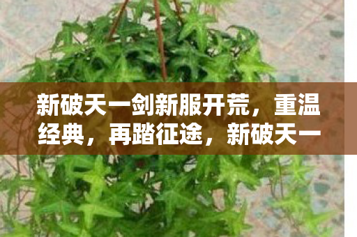 新破天一剑新服开荒,重温经典,再踏征途,新破天一剑新服开荒,重温经典,再踏征途 新破天一剑新服开荒,重温经典,再踏征途,新破天一剑新服开荒,重温经典,再踏征途