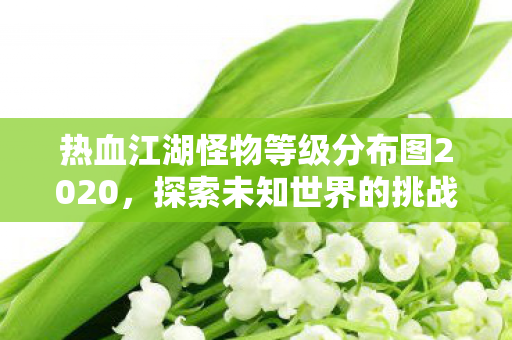 热血江湖怪物等级分布图2020，探索未知世界的挑战，热血江湖怪物等级分布图2020，挑战未知世界的冒险之旅