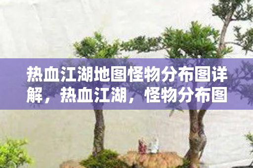 热血江湖地图怪物分布图详解，热血江湖，怪物分布图全解析