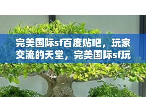 完美国际sf百度贴吧，玩家交流的天堂，完美国际sf玩家交流天堂，百度贴吧
