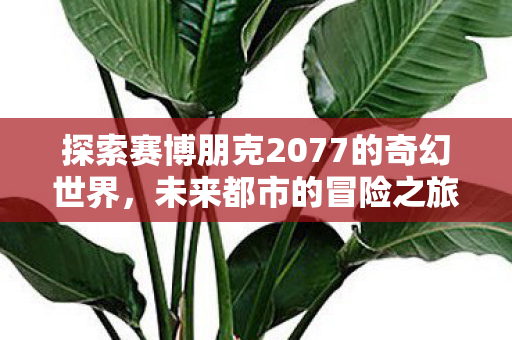 探索赛博朋克2077的奇幻世界,未来都市的冒险之旅,赛博朋克2077,未来都市的奇幻冒险之旅 探索赛博朋克2077的奇幻世界,未来都市的冒险之旅,赛博朋克2077,未来都市的奇幻冒险之旅