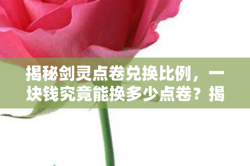 揭秘剑灵点卷兑换比例，一块钱究竟能换多少点卷？揭秘，一块钱在剑灵中能兑换多少点卷？