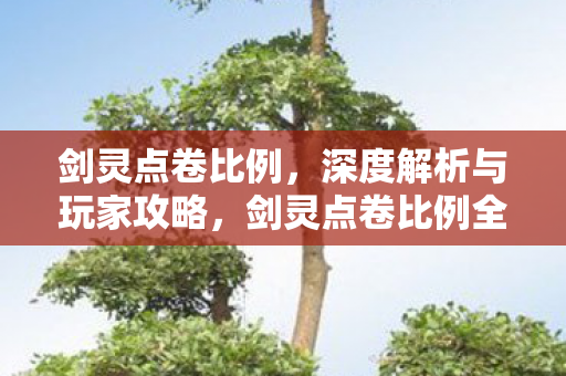 剑灵点卷比例,深度解析与玩家攻略,剑灵点卷比例全解析,玩家攻略与深度解读 剑灵点卷比例,深度解析与玩家攻略,剑灵点卷比例全解析,玩家攻略与深度解读