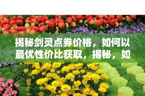 揭秘剑灵点券价格,如何以最优性价比获取,揭秘,如何以最优性价比获取剑灵点券价格 揭秘剑灵点券价格,如何以最优性价比获取,揭秘,如何以最优性价比获取剑灵点券价格