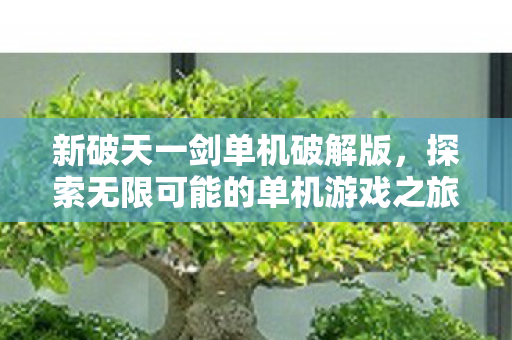 新破天一剑单机破解版,探索无限可能的单机游戏之旅,新破天一剑单机破解版,解锁无限游戏可能 新破天一剑单机破解版,探索无限可能的单机游戏之旅,新破天一剑单机破解版,解锁无限游戏可能