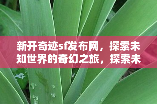 新开奇迹sf发布网,探索未知世界的奇幻之旅,探索未知世界的奇幻之旅,新开奇迹sf发布网 新开奇迹sf发布网,探索未知世界的奇幻之旅,探索未知世界的奇幻之旅,新开奇迹sf发布网