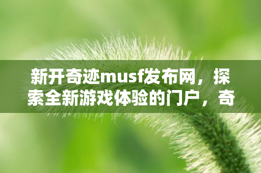 新开奇迹musf发布网,探索全新游戏体验的门户,奇迹musf发布网,开启全新游戏体验门户 新开奇迹musf发布网,探索全新游戏体验的门户,奇迹musf发布网,开启全新游戏体验门户