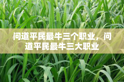 问道平民最牛三个职业,问道平民最牛三大职业 问道平民最牛三个职业,问道平民最牛三大职业