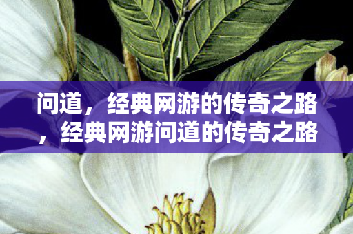 问道,经典网游的传奇之路,经典网游问道的传奇之路 问道,经典网游的传奇之路,经典网游问道的传奇之路