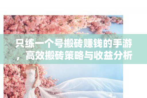 只练一个号搬砖赚钱的手游,高效搬砖策略与收益分析,高效搬砖,只练一个号的手游赚钱策略与收益分析 只练一个号搬砖赚钱的手游,高效搬砖策略与收益分析,高效搬砖,只练一个号的手游赚钱策略与收益分析