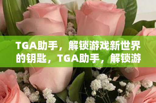 TGA助手，解锁游戏新世界的钥匙，TGA助手，解锁游戏新世界钥匙