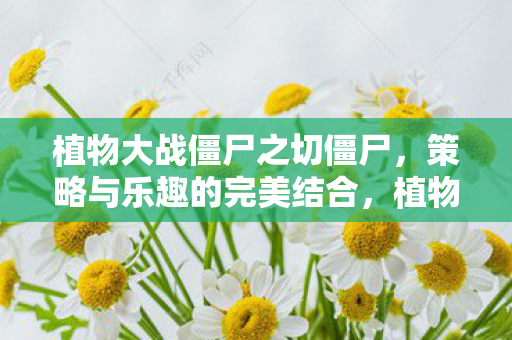 植物大战僵尸之切僵尸，策略与乐趣的完美结合，植物大战僵尸之切僵尸，策略与乐趣的完美融合