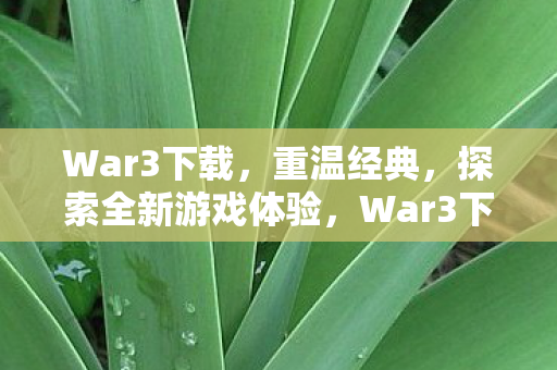 War3下载，重温经典，探索全新游戏体验，War3下载，重温经典，探索全新游戏体验
