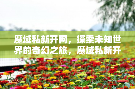 开启探索未知世界的奇幻之旅图片