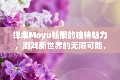 探索Moyu私服的独特魅力图片