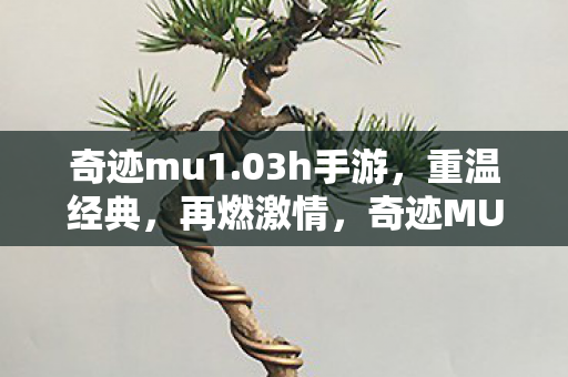 奇迹mu1.03h手游,重温经典,再燃激情,奇迹MU1.03H手游,重温经典,再燃激情 奇迹mu1.03h手游,重温经典,再燃激情,奇迹MU1.03H手游,重温经典,再燃激情